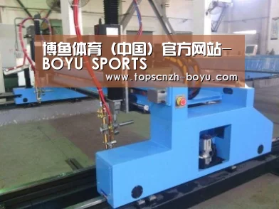 产品名称十六