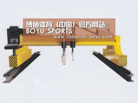 产品名称十九