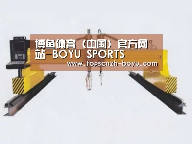 产品名称十九