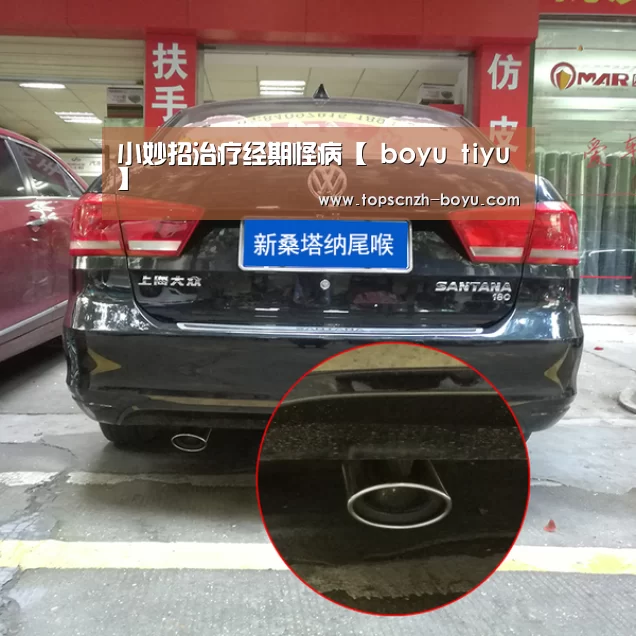  博鱼官网