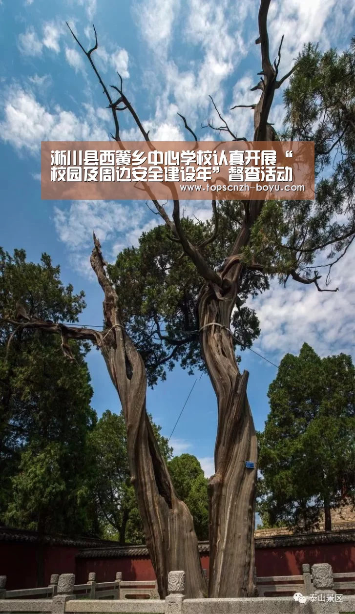 淅川县西簧乡中心学校认真开展“校园及周边安全建设年”督查活动‘ boyu tiyu’(图3) boyu tiyu