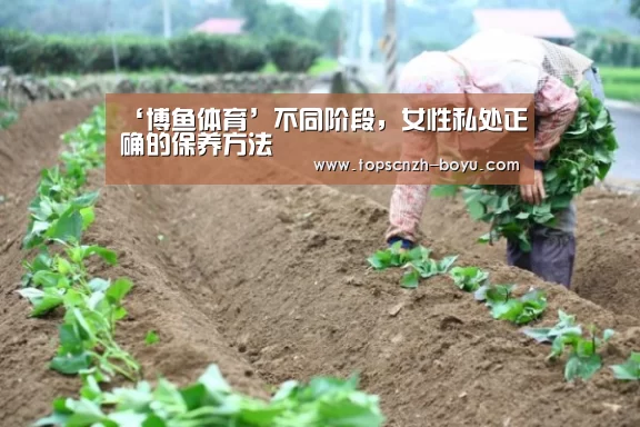  博鱼官网