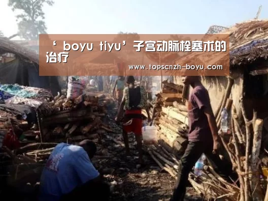‘ boyu tiyu’子宫动脉栓塞术的治疗(图2) 博鱼体育