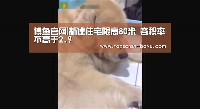 博鱼体育