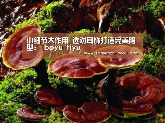  博鱼官网