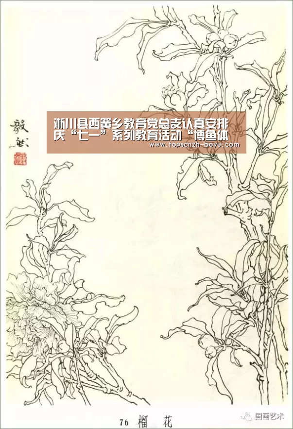  博鱼官网